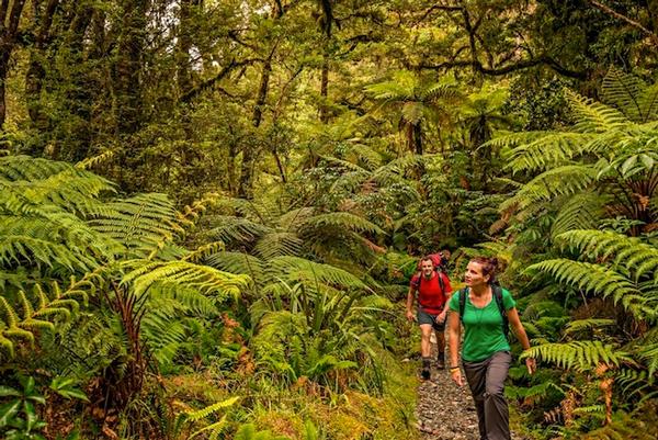 The world famous Milford Track